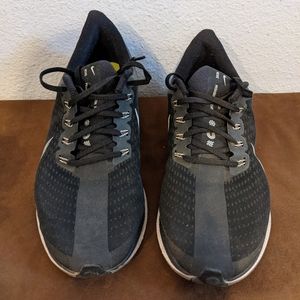 Nike Pegasus turbo v1